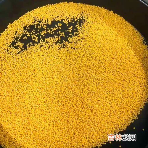 小米胡萝卜粥的禁忌,白萝卜小米粥的禁忌