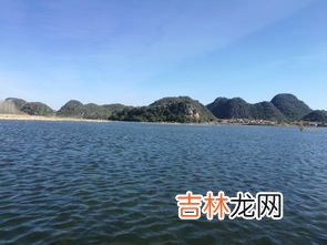 吃松茸的禁忌,松茸不能和什么一起吃?吃松茸的禁忌