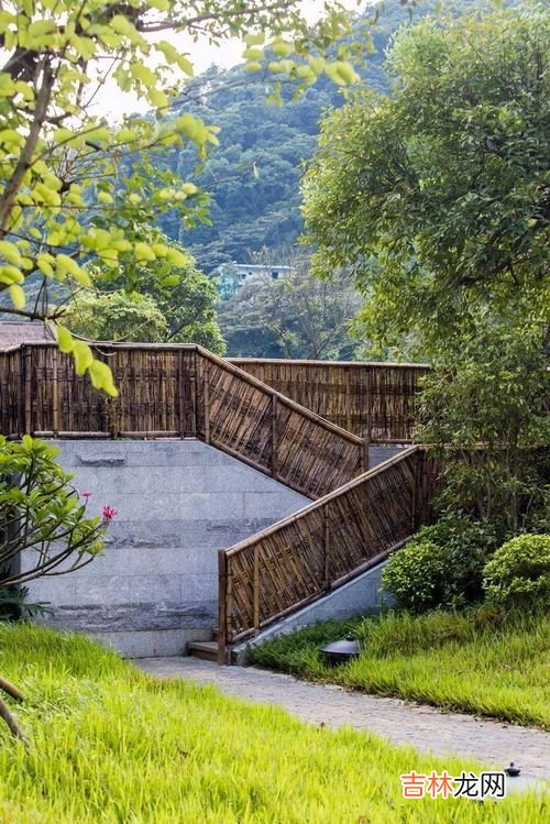 代表建议提供免费墓地和骨灰盒,使用环保骨灰盒有哪些补助?