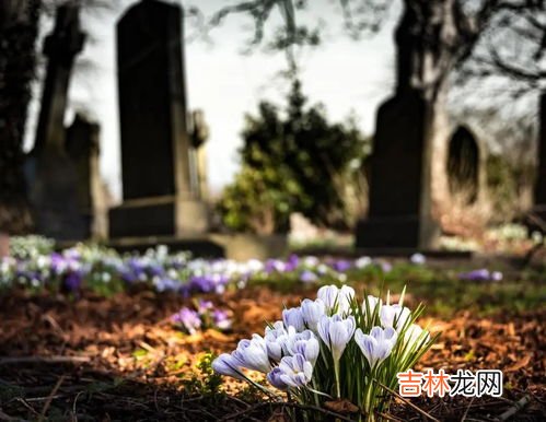 代表建议提供免费墓地和骨灰盒,使用环保骨灰盒有哪些补助？