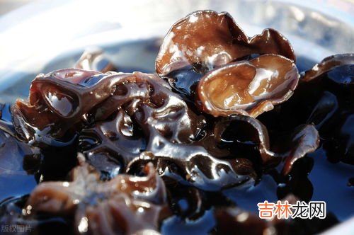 泡发的木耳冷冻7天能吃吗,木耳泡了放到冰箱里几天还可以吃吗?
