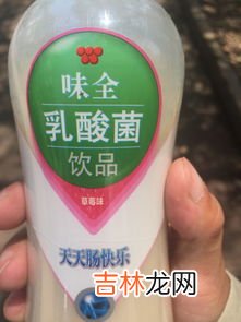 乳酸菌饮品有什么好处,乳酸菌饮料对身体有什么好处？