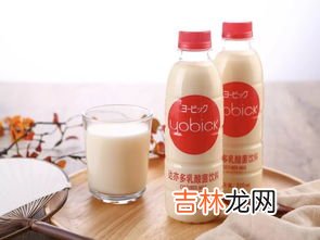 乳酸菌饮品有什么好处,乳酸菌饮料对身体有什么好处？