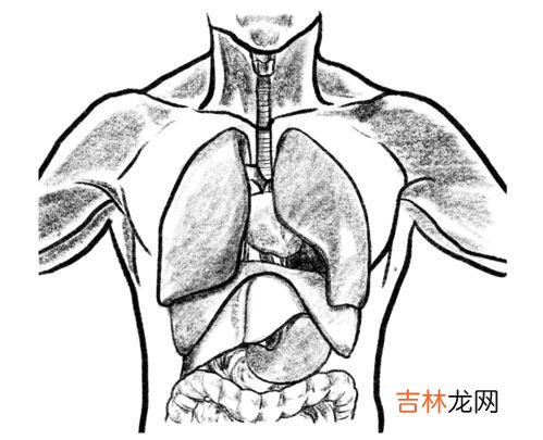 春天养肝的3个方法是什么,春季养肝方法有哪些