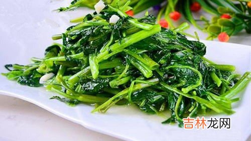 怎么摘空心菜,阳台无土栽培空心菜，多久可以采收呢？