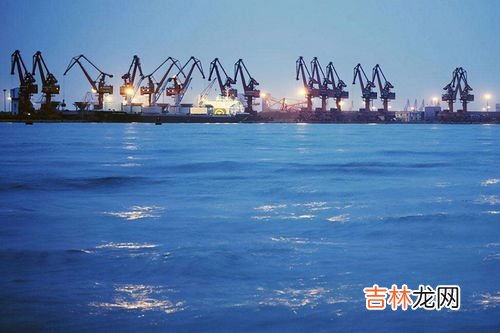 日本港口聚集的有毒海胆,北海道9成海胆死亡空壳遍布海滩，造成海胆死亡的原因是什么？