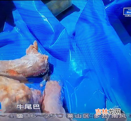 火鸡脖子与牛尾的区别,火鸡脖子冒充牛尾巴卖是否犯法？