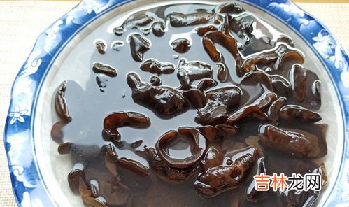 木耳被泡发后怎么储存,木耳泡太多了,吃不完怎么保存