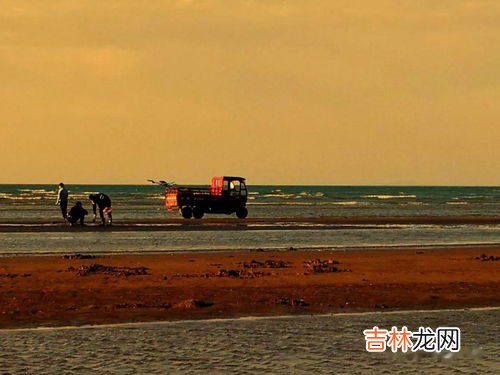 赶海遇到涨潮应该如何解决,赶海技巧