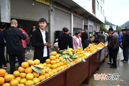 果赖目前生活在哪里,这不是花花是果赖是什么梗？