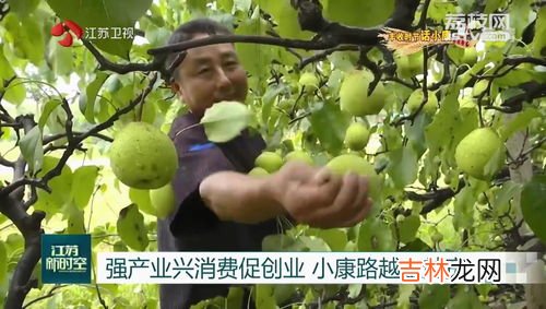 果赖目前生活在哪里,这不是花花是果赖是什么梗？
