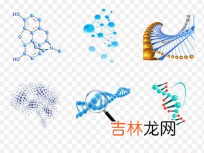dna分子的结构是什么结构,dna分子的结构是什么结构