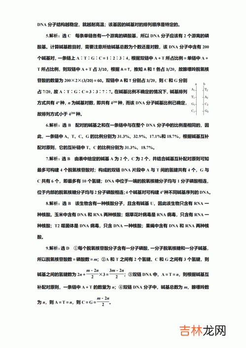 dna分子的结构是什么结构,dna分子的结构是什么结构
