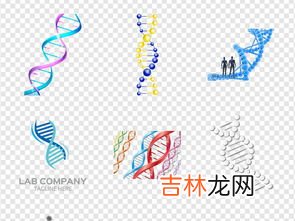 dna分子的结构是什么结构,dna分子的结构是什么结构