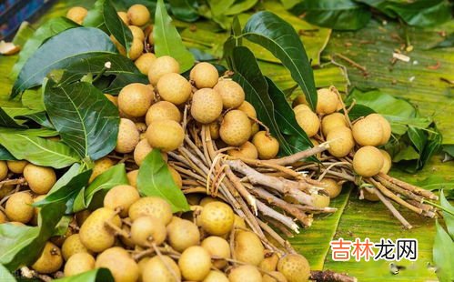 龙眼的主要功效与禁忌,龙眼肉的功效与作用及禁忌