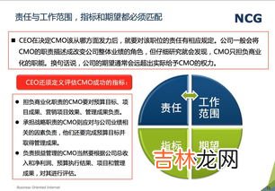 cmo是什么职位,cmo是什么职位