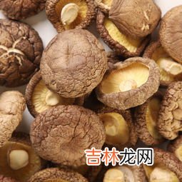 干香菇保质期多长时间,香菇能保存多久 香菇能保存多长时间