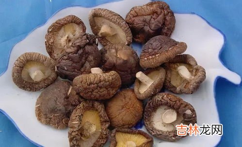 干香菇保质期多长时间,香菇能保存多久 香菇能保存多长时间
