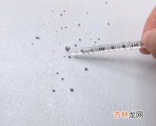 怎么清理散落的水银,水银洒在地上怎么清理