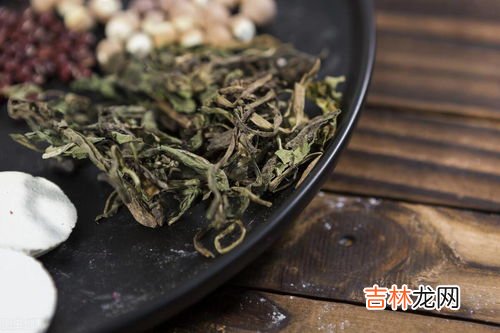 草苁蓉怎样泡水喝,肉苁蓉可以直接吃吗
