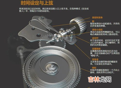 机械表的工作原理,全自动机械表工作原理，他是如何提供动力的？