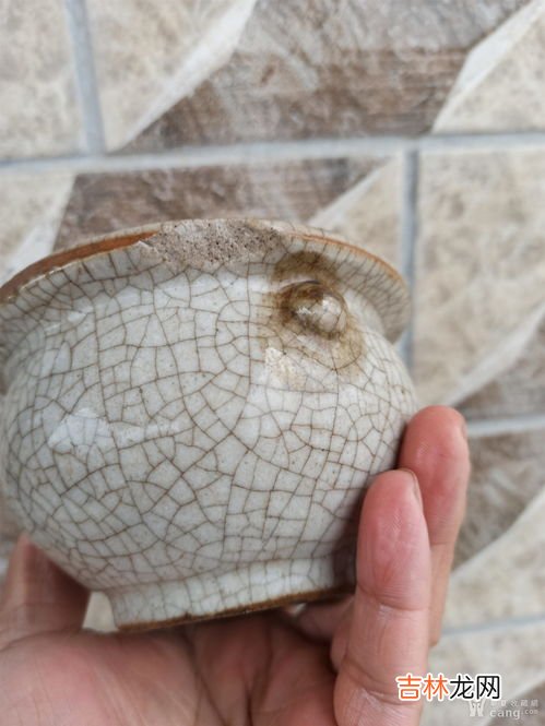 粘粘球有没有毒,粘粘球有没有毒啊?