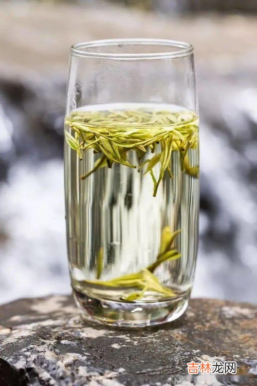 凤凰单枞属于什么茶,凤凰单丛茶是绿茶还是红茶