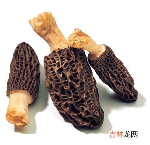 干羊肚菌保质期多久,羊肚菌保质期多长时间？