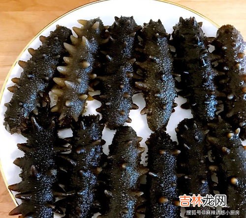 刚买回来的海参怎么处理,新鲜海参怎么处理