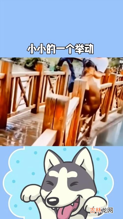 好人一生108胎什么梗,好人一生八个儿子什么梗？