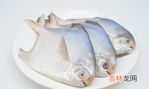 鲳鱼有鱼鳞吗,鲳鱼的挑选方法是什么