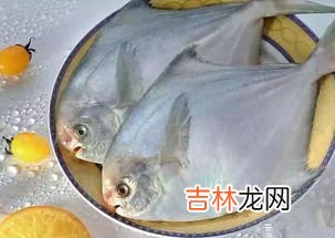 鲳鱼有鱼鳞吗,鲳鱼的挑选方法是什么