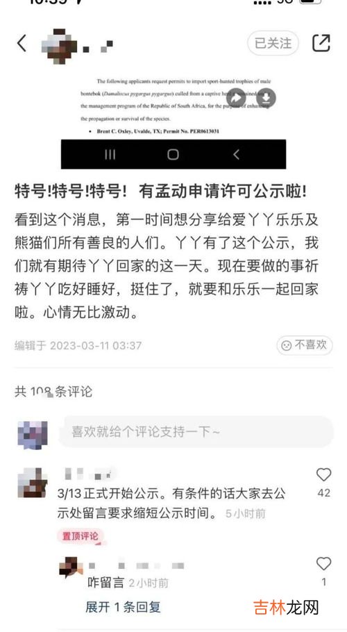 丫丫回国流程仍在等美审批,丫丫乐乐什么时候回国