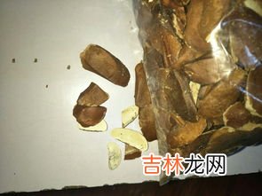 菱角壳是干垃圾还是湿垃圾,什么是厨余垃圾？厨余垃圾要怎么干湿分类？