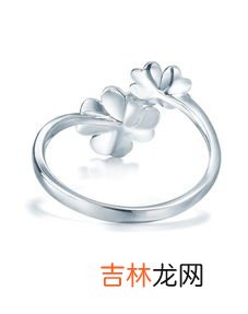 pt950是什么金,pt950是什么金