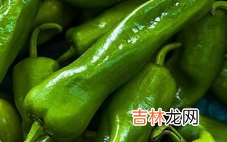 青椒的功效与作用禁忌,常吃青椒对身体好吗，吃青椒的禁忌有哪些？