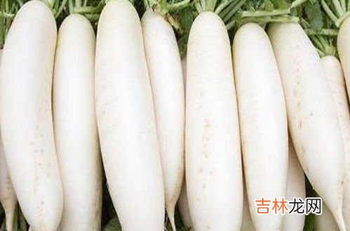 萝卜不能和什么一起吃,萝卜不能和什么食物一起吃