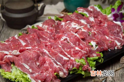 为什么不吃马肉,为什么没有人吃马肉