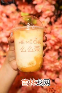 维萃美奶昔宝宝吃奶能吃吗,维萃美奶昔粉怎么样