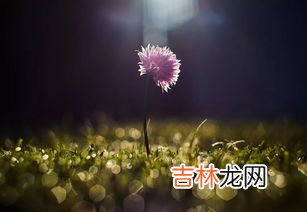 春季来临,春天来临的标志是什么