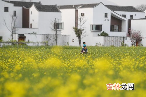 富春江属于哪个城市,钱塘江在哪个省哪个市？