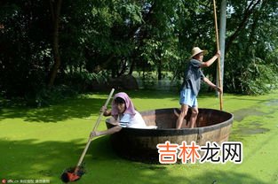 淝水是什么的支流,淝水之战的淝水是哪条河的支流?