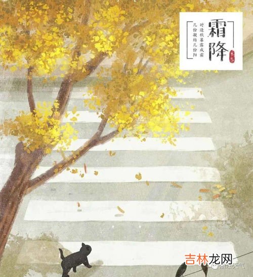 怎么剥洋葱,洋葱怎么剥皮是不是要一层一层剥 洋葱如何剥皮是不是要一层一层剥