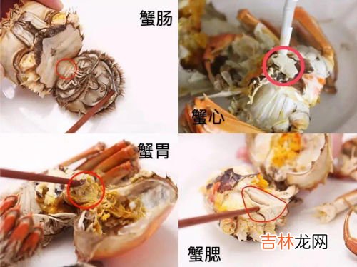 螃蟹怎么分辨屎和蟹黄,如何分辨螃蟹品质的好坏呢怎么分辨螃蟹好坏