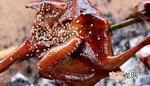 鸽子肉的功效与禁忌,鸽子肉的营养价值及功效和禁忌