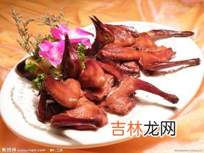 鸽子肉的功效与禁忌,鸽子肉的营养价值及功效和禁忌