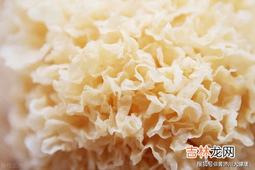 银耳的功效,银耳的功效与作用具体有哪些