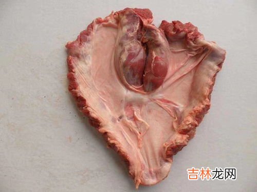 隔沙肉是什么部位,隔沙肉是什么