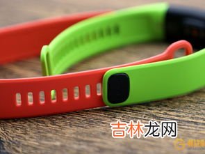 医院手环颜色分别代表什么,医院手环颜色的含义 医院手环颜色有什么意思