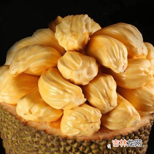 怎么剥菠萝蜜,菠萝蜜怎么剥